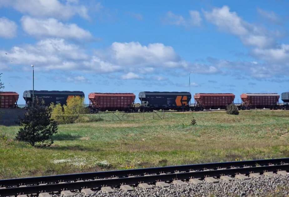 Azerbaijan increases grain imports from Kazakhstan by 113 times