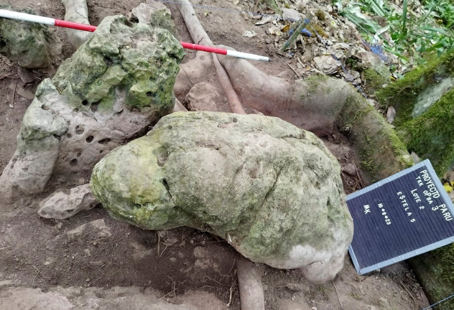 ‘The Grandparents’: Mysterious 3,000-year-old Mayan city unearthed in Guatemala