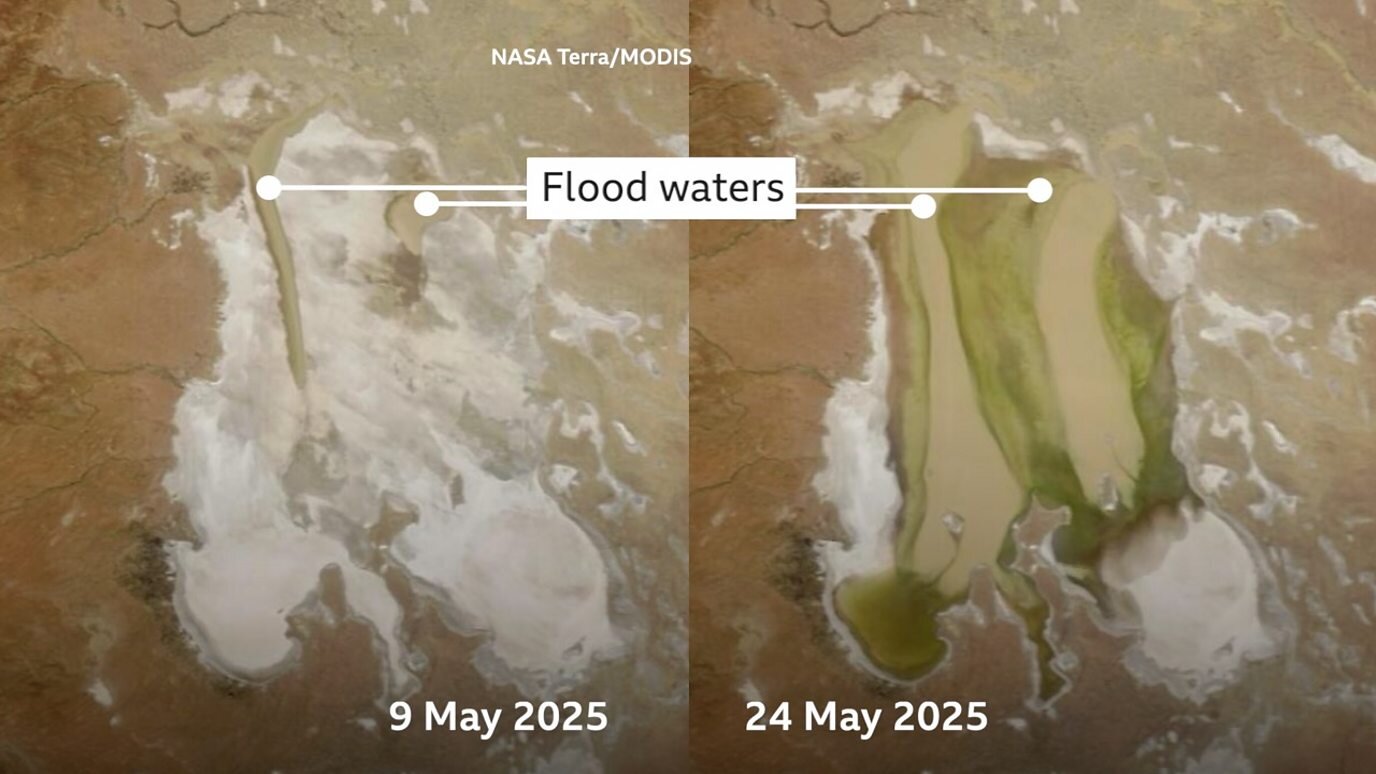 Watch: Flood waters rapidly fill Australia's Kati Thanda-Lake Eyre
