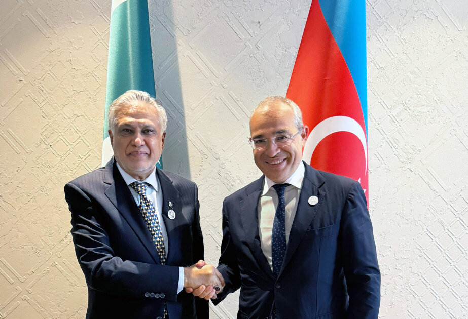 Azerbaijan, Pakistan discuss intensive promotion of mutual investments