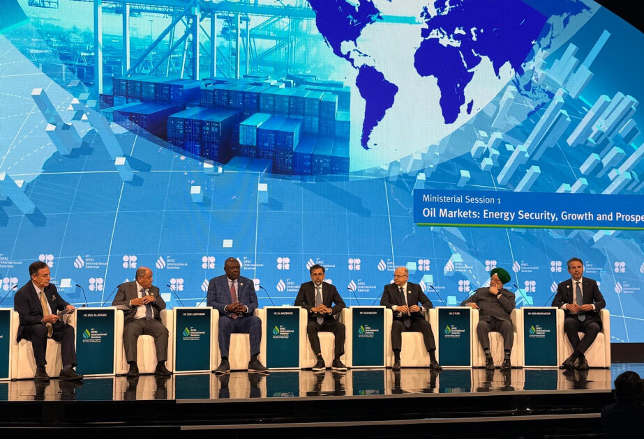 Sustainable energy supply is impossible without investment, says Azerbaijani Energy Minister