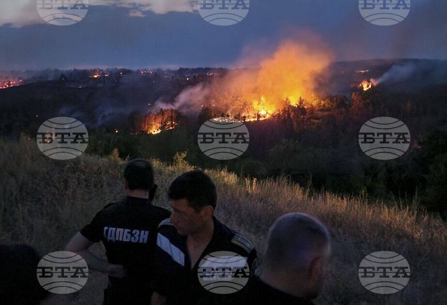 Firefighters responded 205 fires on Thursday, most were caused by human activity