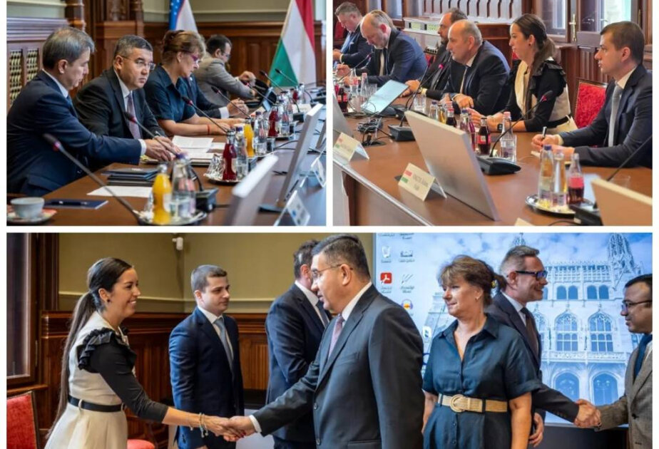 Uzbekistan and Hungary develop cooperation in cybersecurity