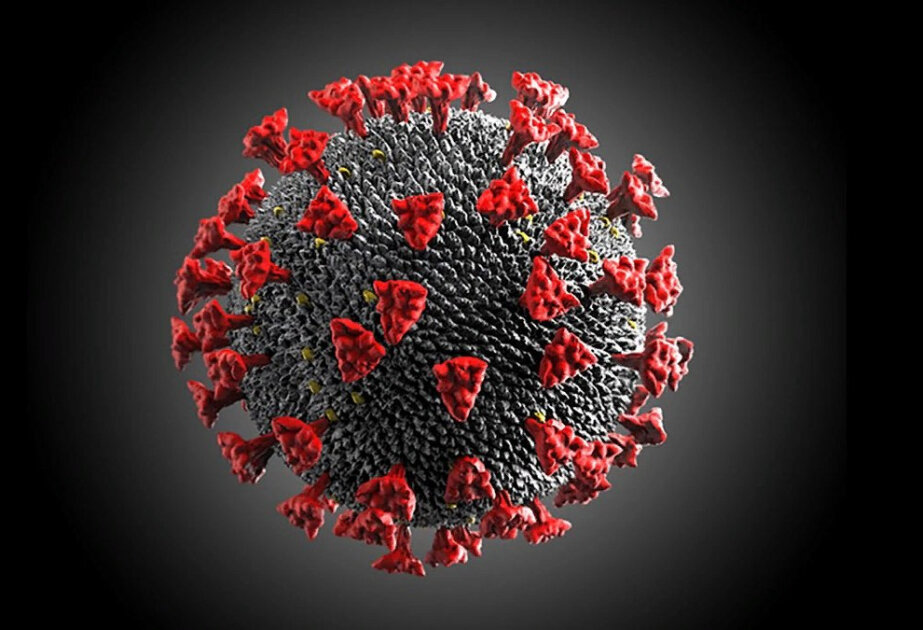 COVID-19 pandemic may have aged our brains, new study suggests