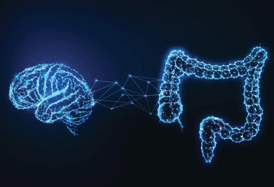 Scientists uncover hidden gut ‘sense’ that talks to your brain