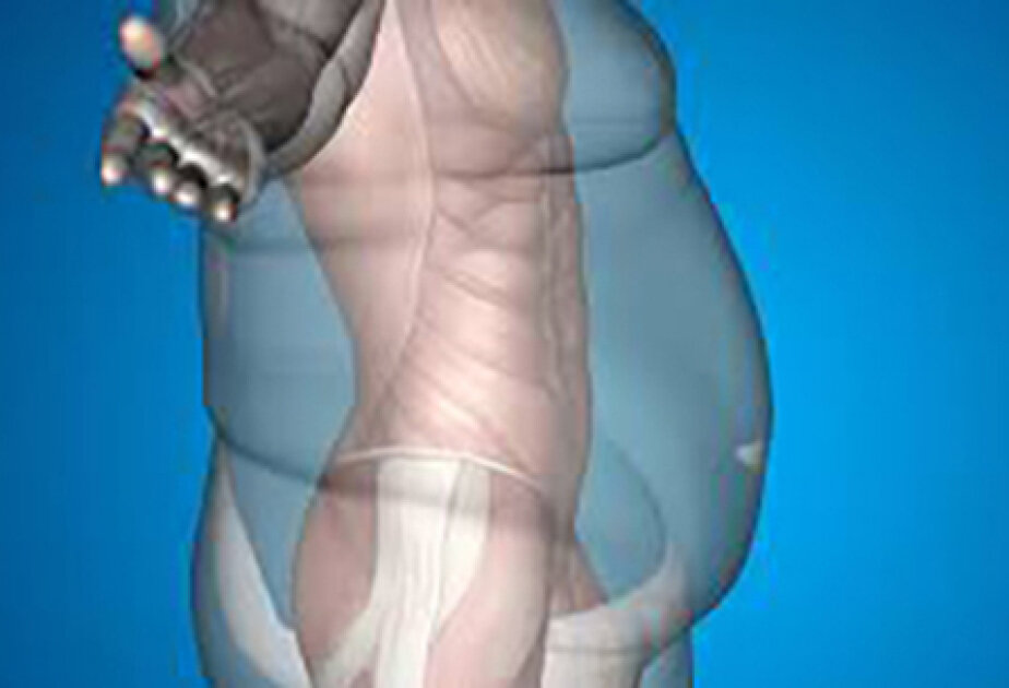 Eating earlier linked to long-term weight-loss success