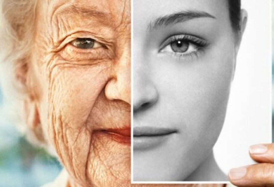 Blood of exceptionally long-lived people suggests key differences
