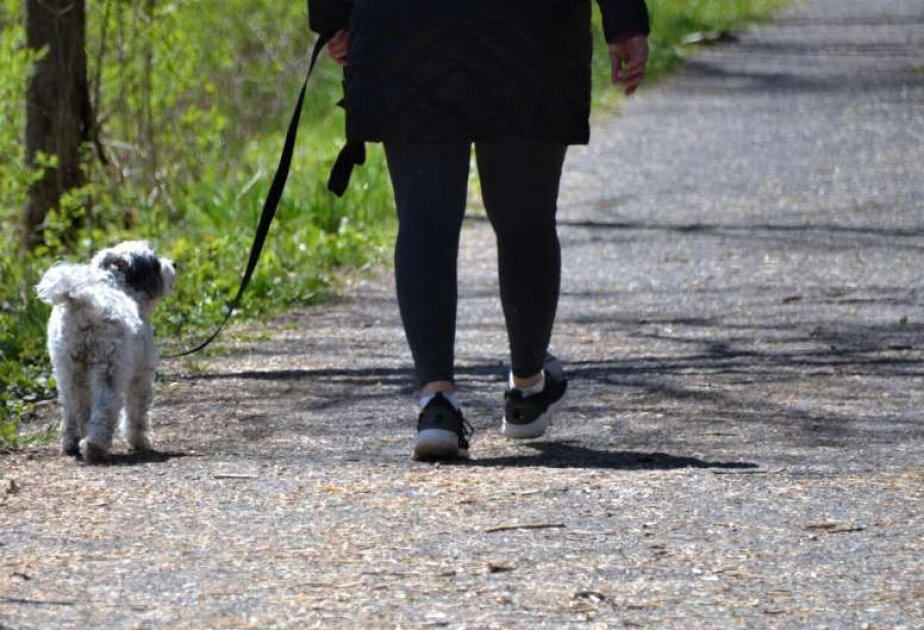 How small changes in walking technique may help treat knee osteoarthritis