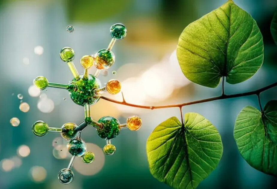 Scientists found a new way to turn sunlight into fuel
