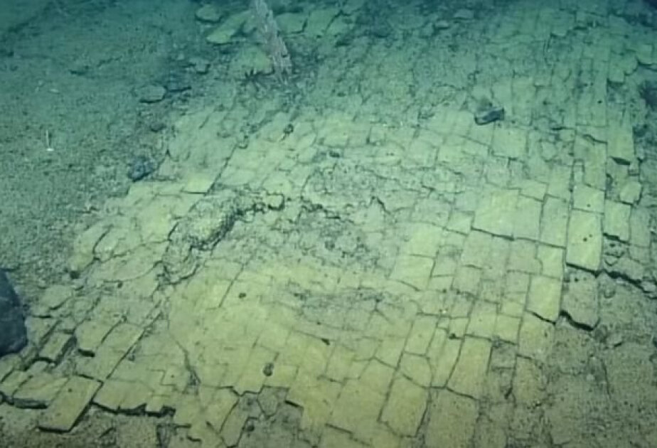 Scientists spotted a 'Yellow Brick Road' at the bottom of the Pacific ocean