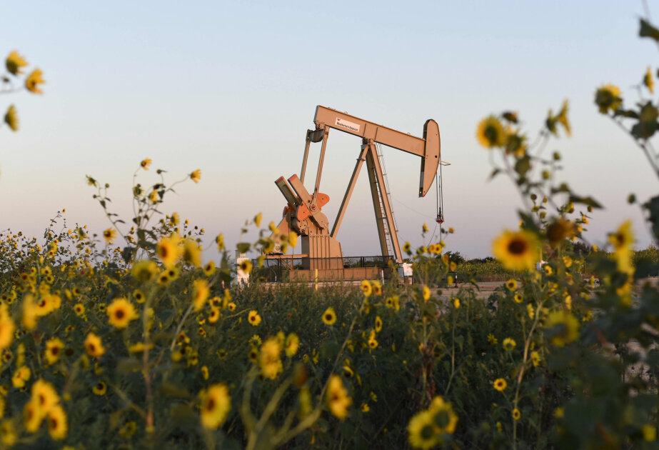 Oil prices fall in global markets