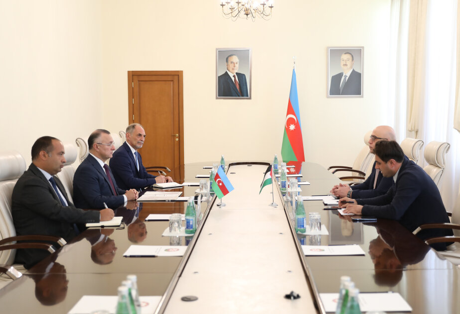 Azerbaijan, Palestine discuss healthcare cooperation