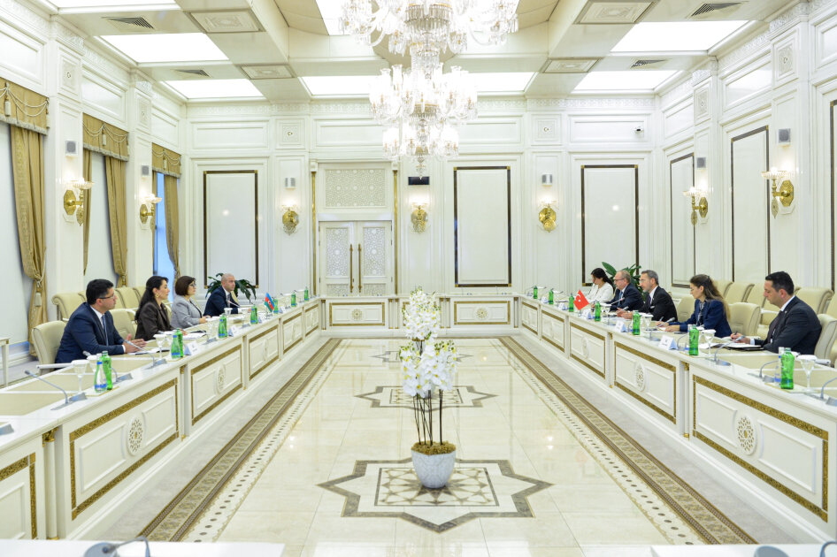 Azerbaijan, Türkiye explore prospects for cooperation in the field of human rights