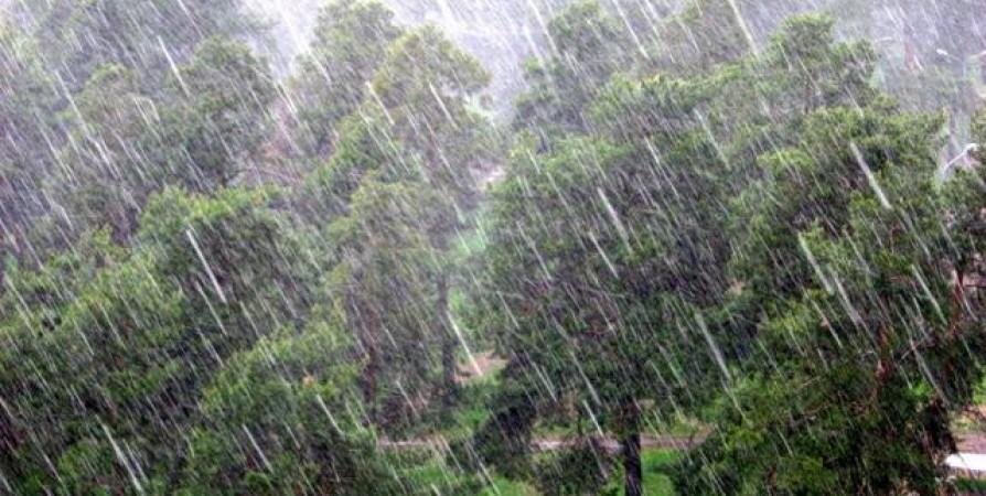 Rain and fog are reported across regions
