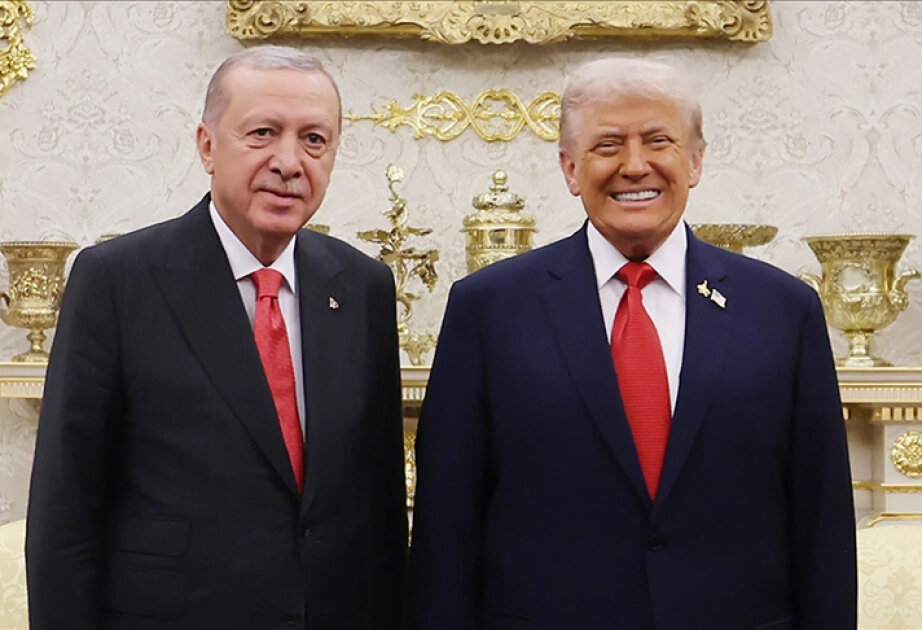 Israel's cessation of attacks crucial for regional peace efforts: Turkish president