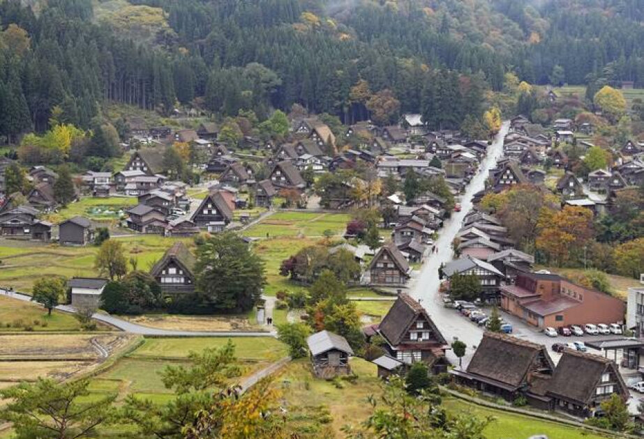 Bear cub attacks tourist in central Japan