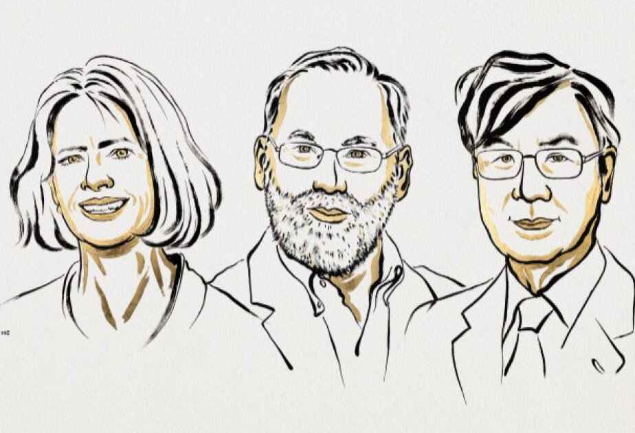 Brunkow, Ramsdell and Sakaguchi win Nobel medicine prize for immune discoveries