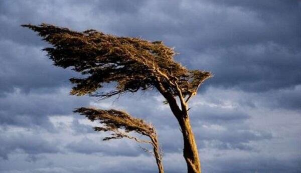 Yellow wind warning issued for Azerbaijan