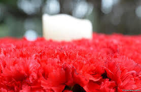 Azerbaijan boosts clove imports by over 60%