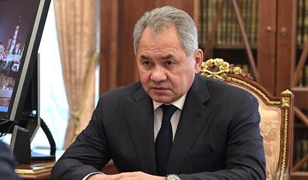 Shoigu and Larijani discuss bilateral security ties
