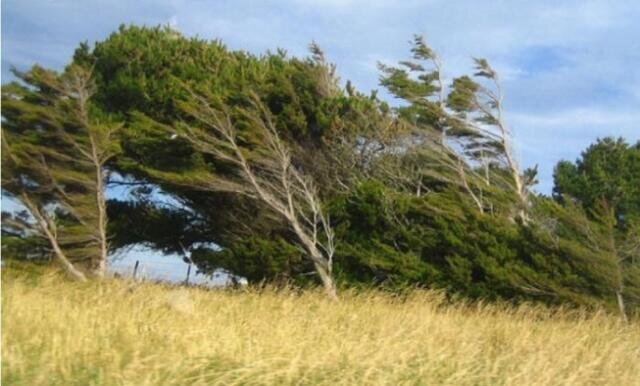Strong winds reported in several parts of Azerbaijan